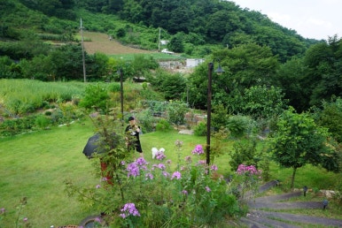 단지골몽상가 이미지