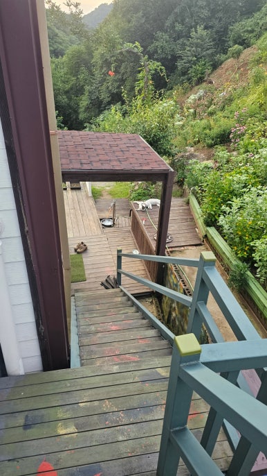 단지골몽상가 이미지