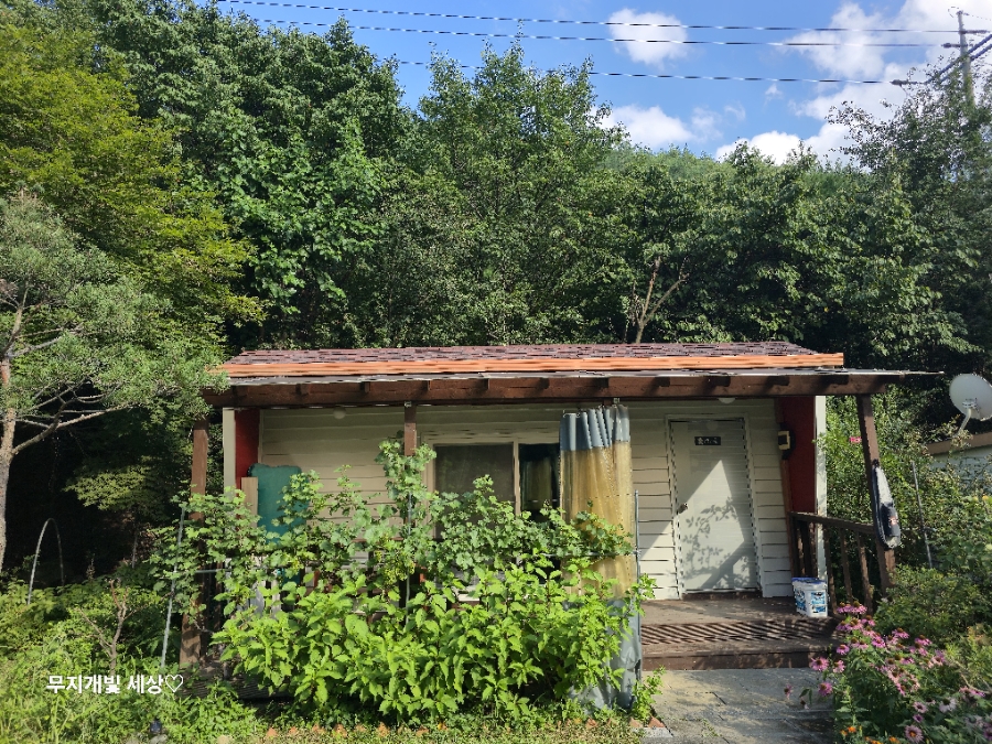 예그리나펜션 이미지