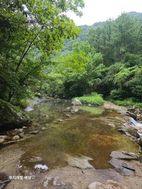 예그리나펜션 이미지