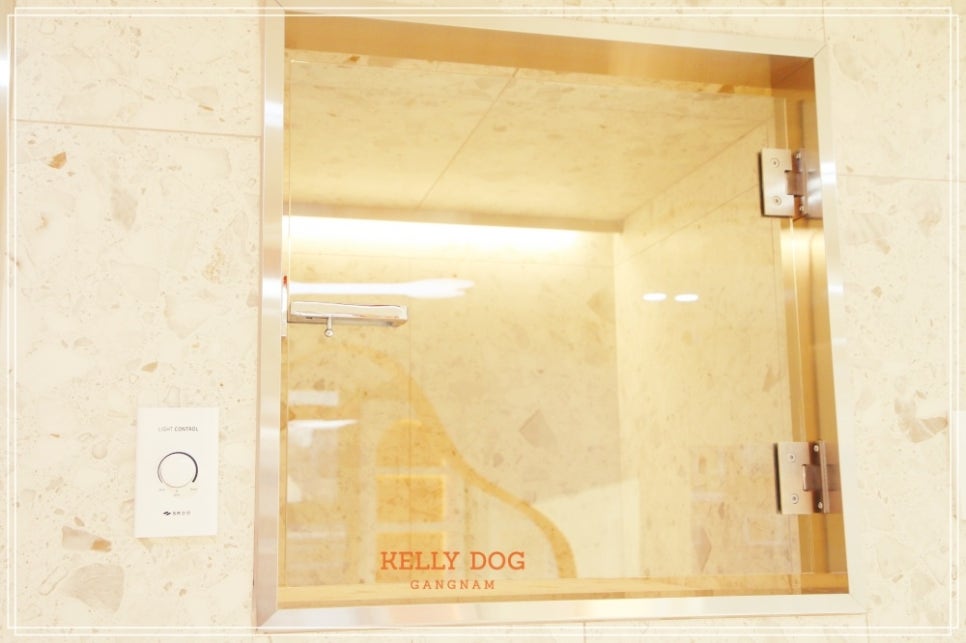 강남 애견호텔 켈리독, 합리적 비용 장기 위탁 후기 — 사진 2