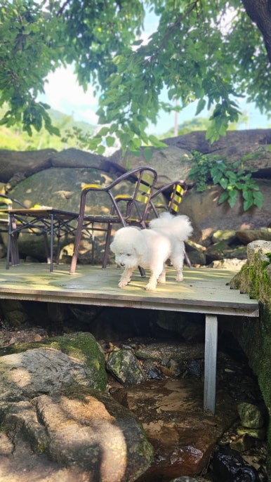 단지골몽상가 이미지