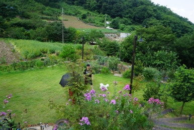 단지골몽상가 이미지