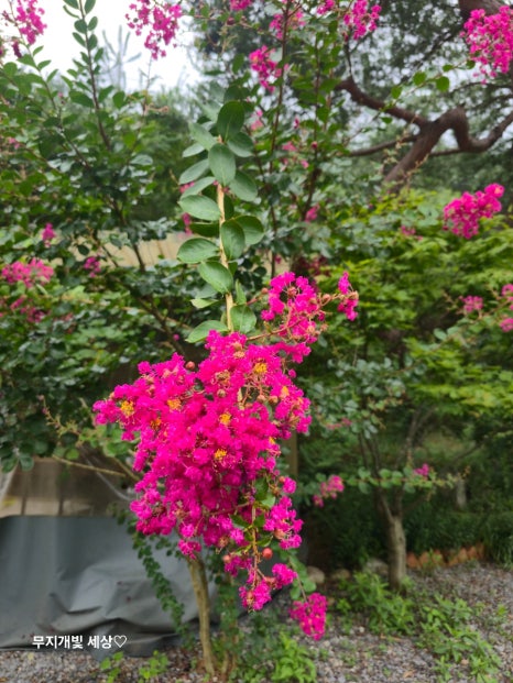 예그리나펜션 이미지