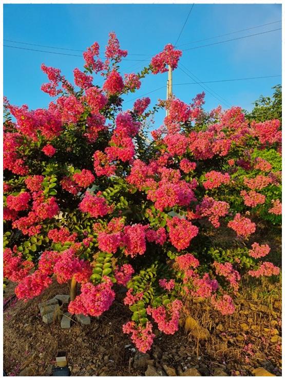 단양채훤펜션 이미지