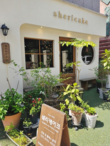 쉐리케이크 사진 2