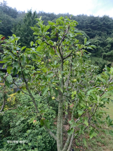 예그리나펜션 이미지