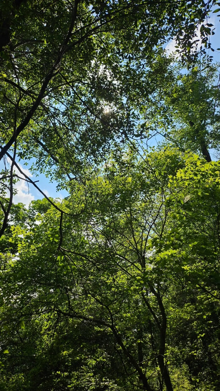 기대만족 강남본점 사진 6