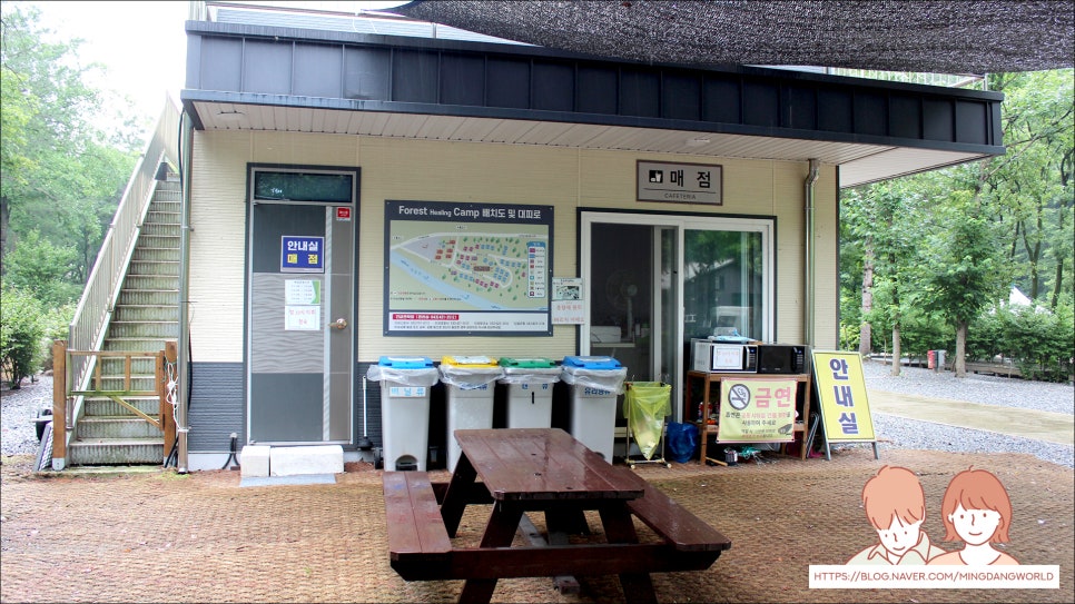 포레스트힐링캠프 이미지