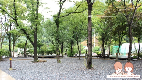 포레스트힐링캠프 이미지