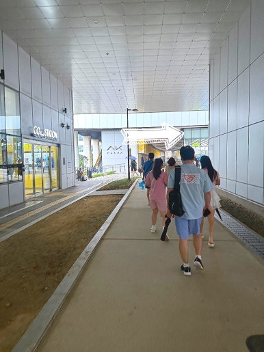 보라곰케이크 사진 7