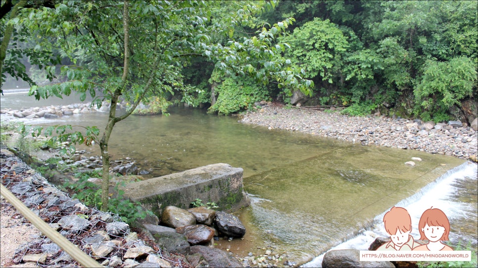 포레스트힐링캠프 이미지