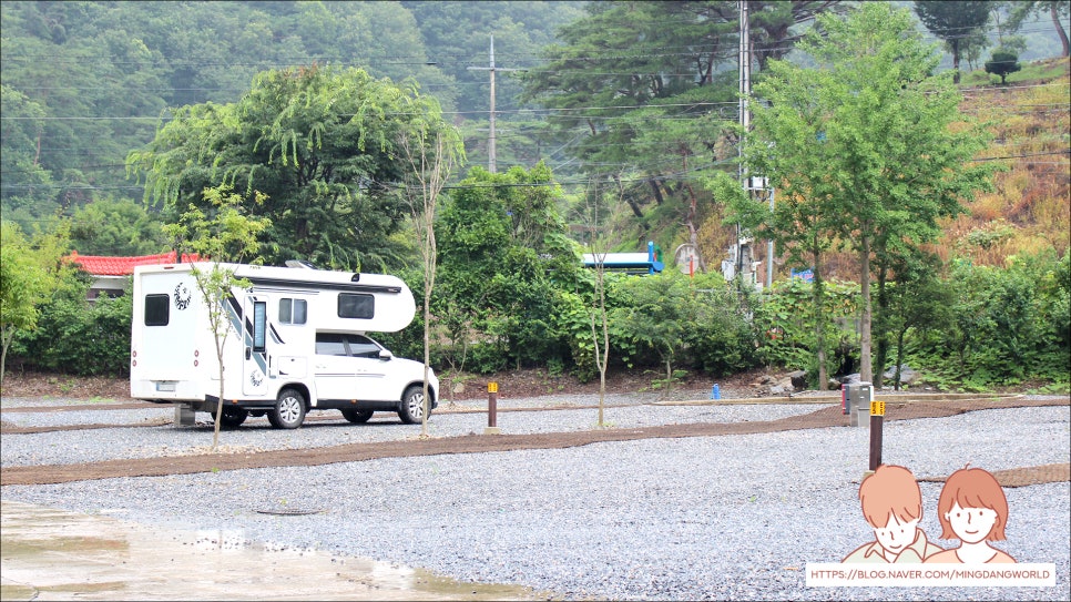 포레스트힐링캠프 이미지