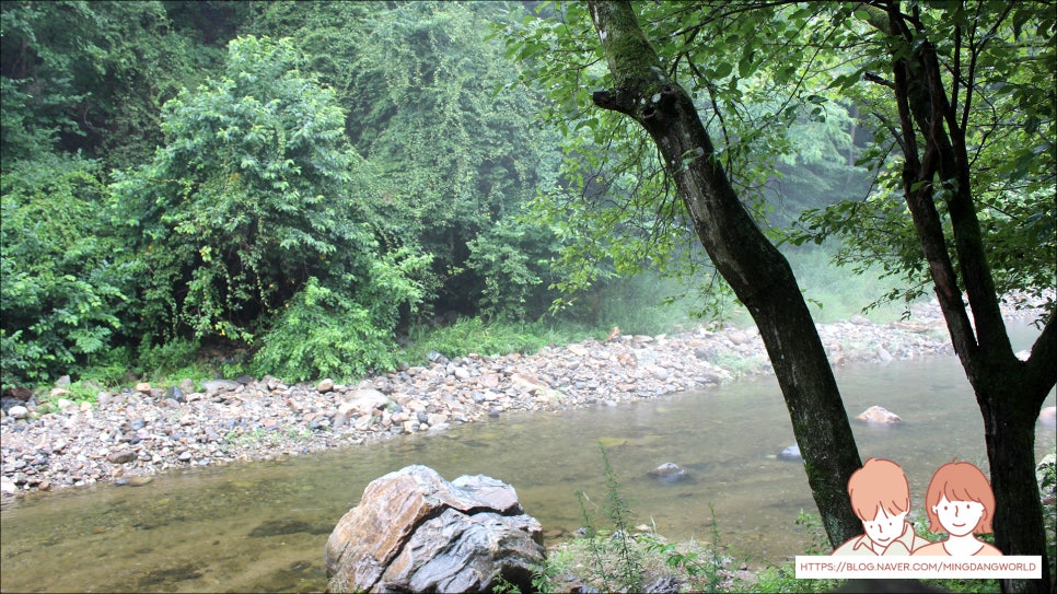포레스트힐링캠프 이미지