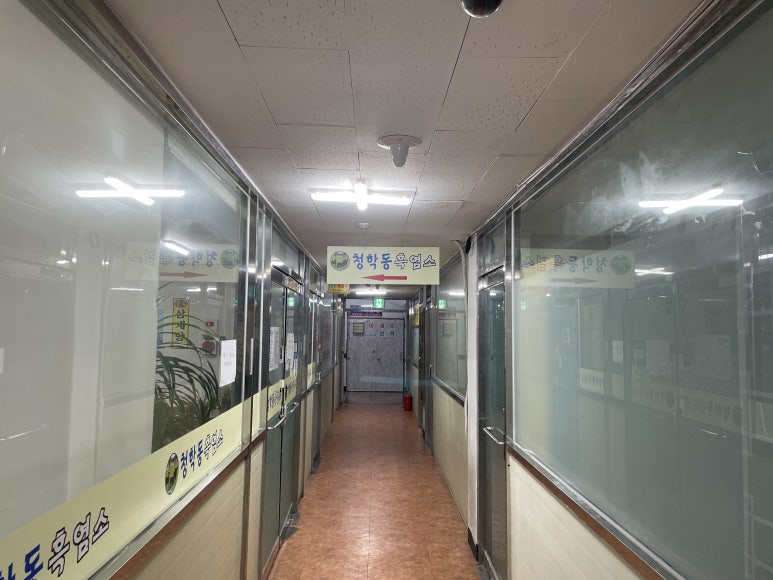 청학동흑염소 사진 7