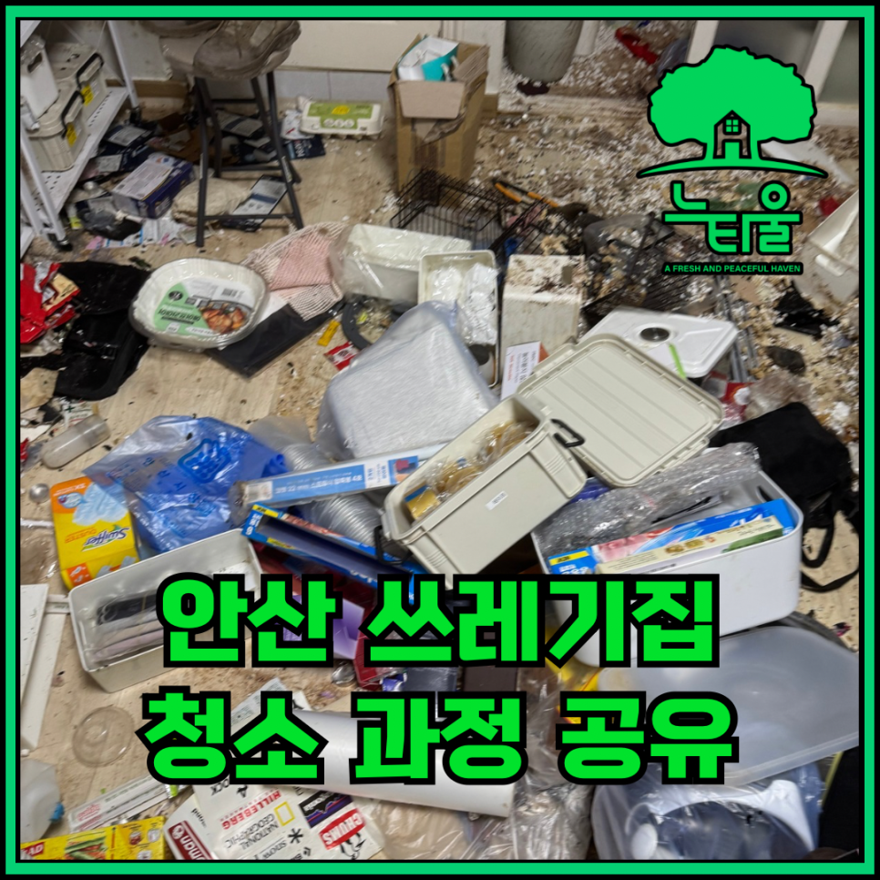 안산쓰레기집청소, 쥐로 인한 특수한 오염 제거 과정