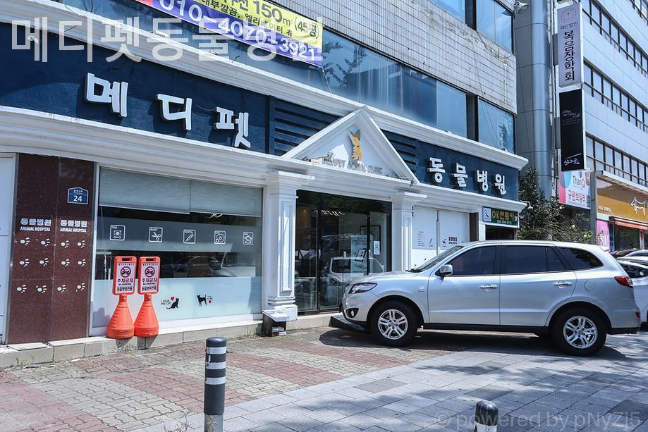 메디펫동물병원