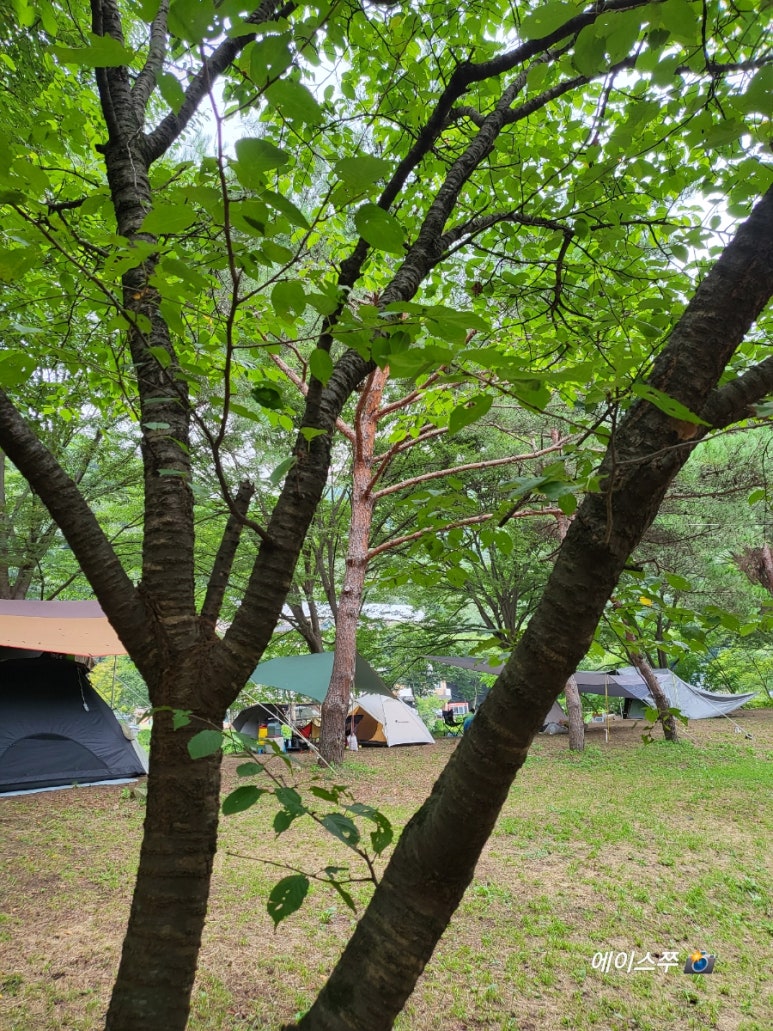 소선암 자연발생유원지 야영장 이미지