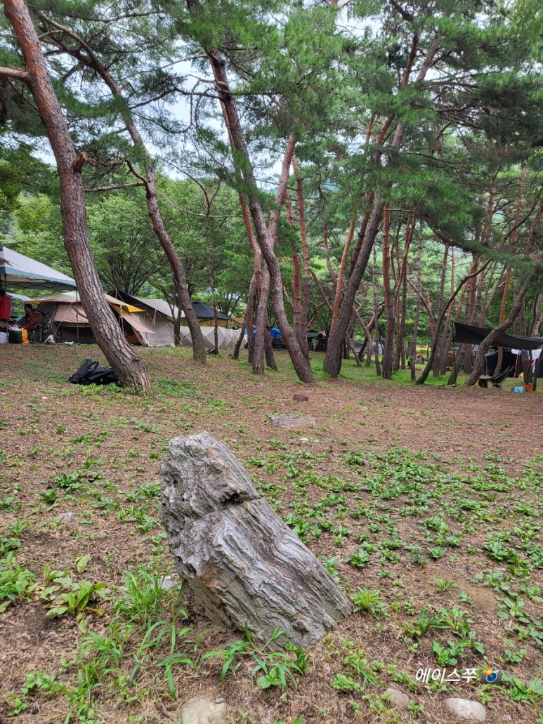 소선암 자연발생유원지 야영장 이미지