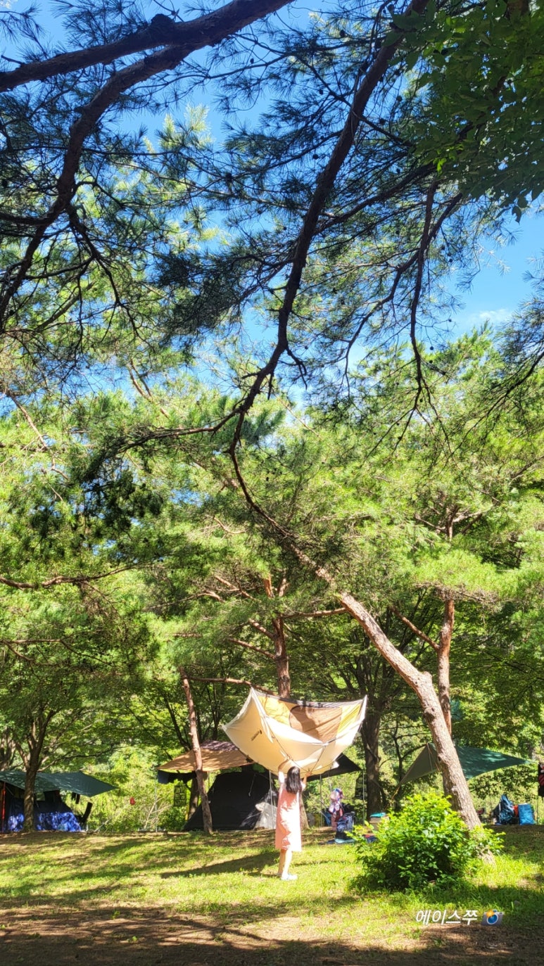 소선암 자연발생유원지 야영장 이미지