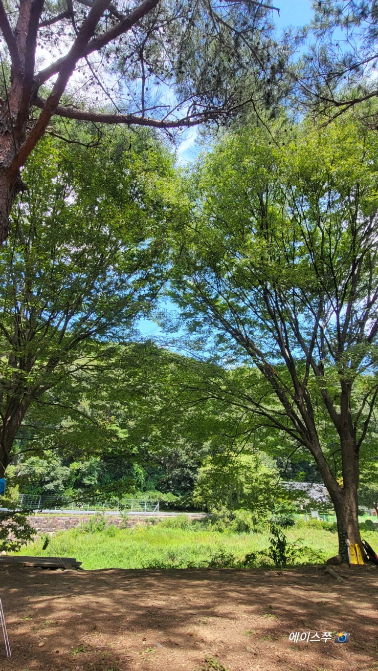 소선암 자연발생유원지 야영장 이미지