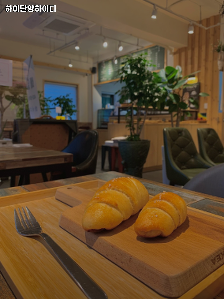 하이단양 하이디 이미지