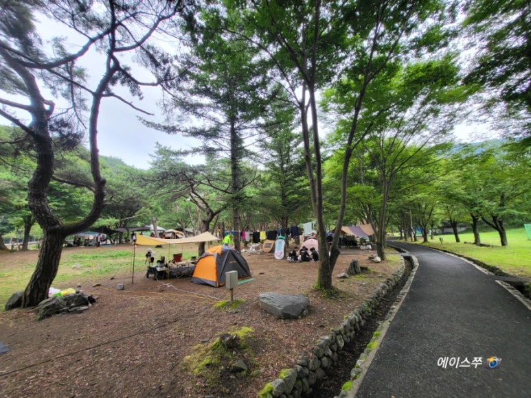 소선암 자연발생유원지 야영장 이미지