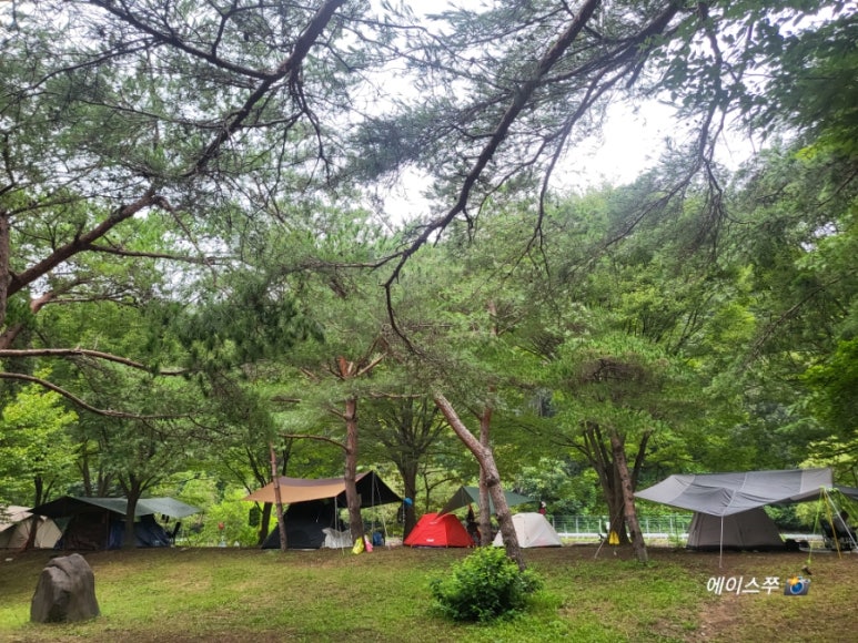 소선암 자연발생유원지 야영장 이미지