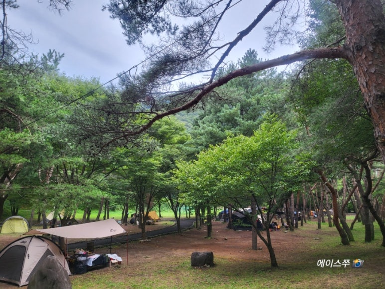 소선암 자연발생유원지 야영장 이미지