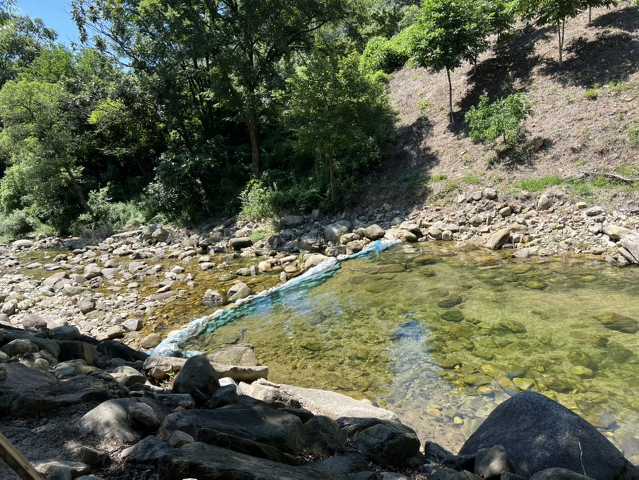 퍼플테라스 이미지