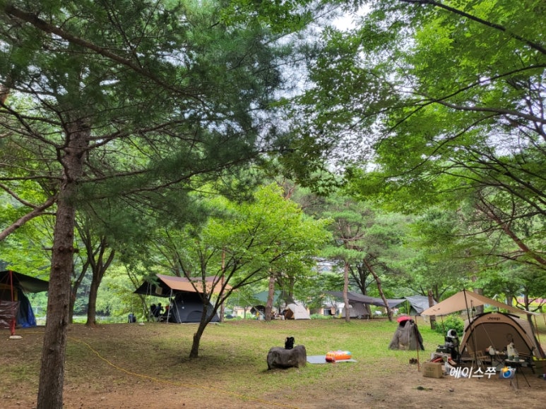 소선암 자연발생유원지 야영장 이미지