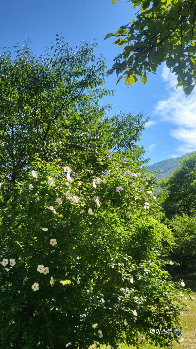 소선암 자연발생유원지 야영장 이미지