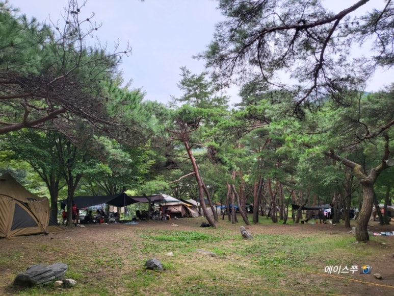 소선암 자연발생유원지 야영장 이미지