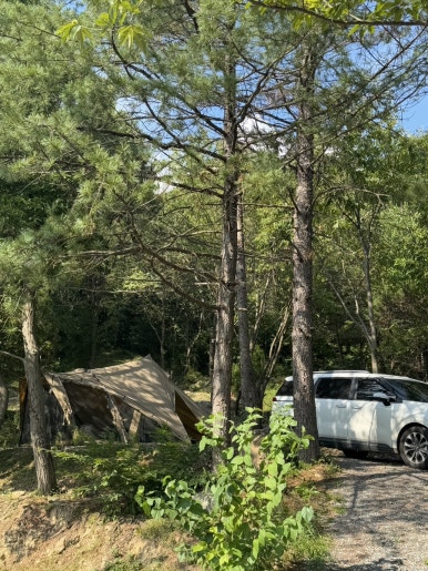 단양오지캠핑장 이미지