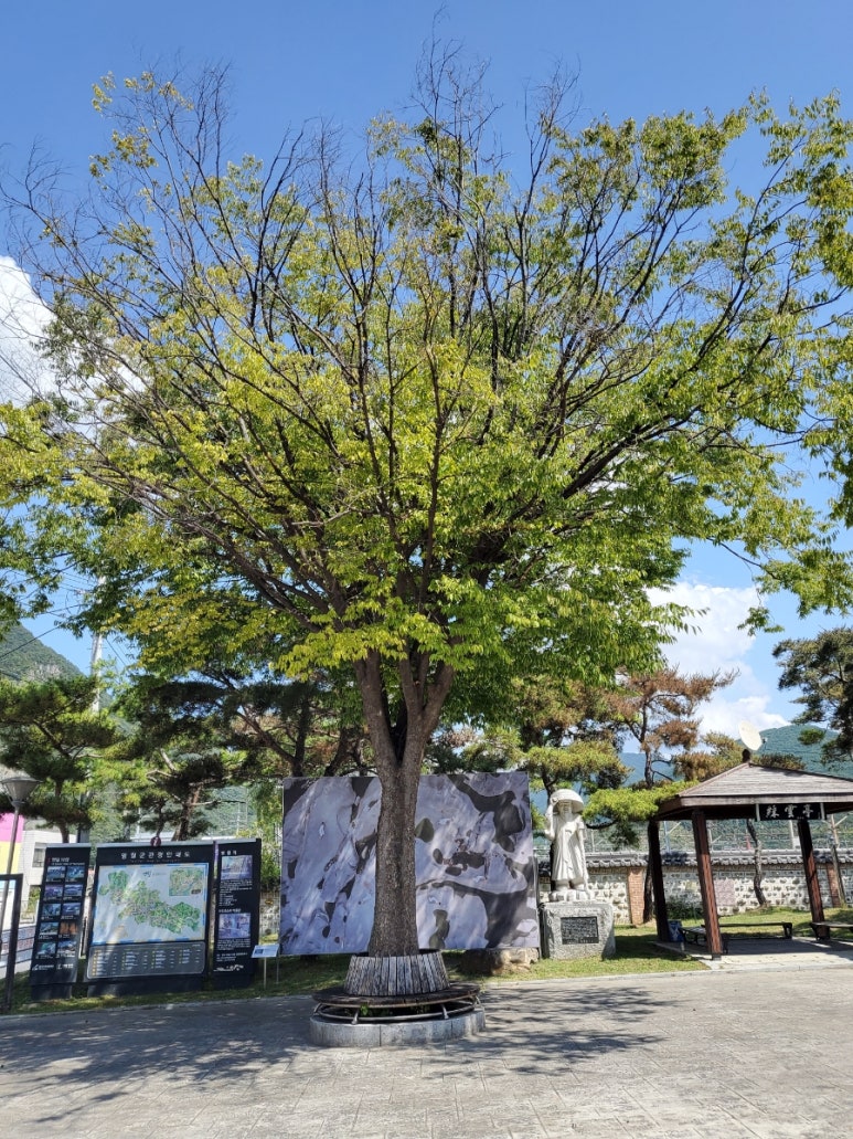 김삿갓삿갓 쉼터 이미지