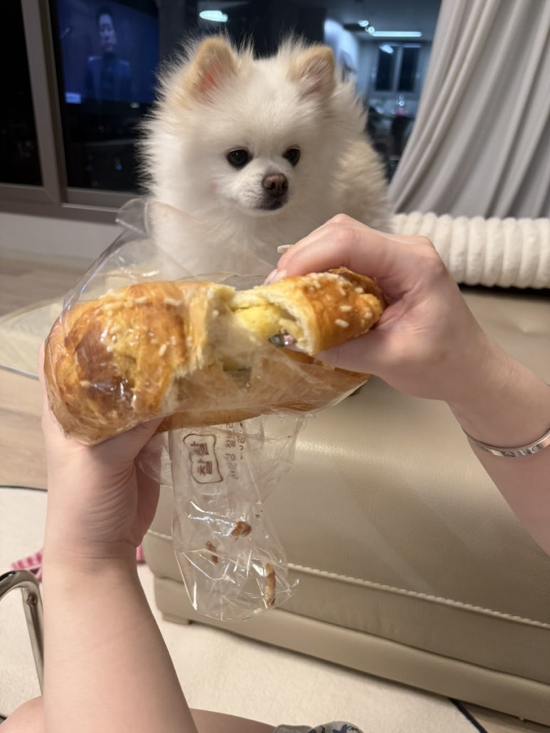 찰찰 보리식빵 자양점 사진 7