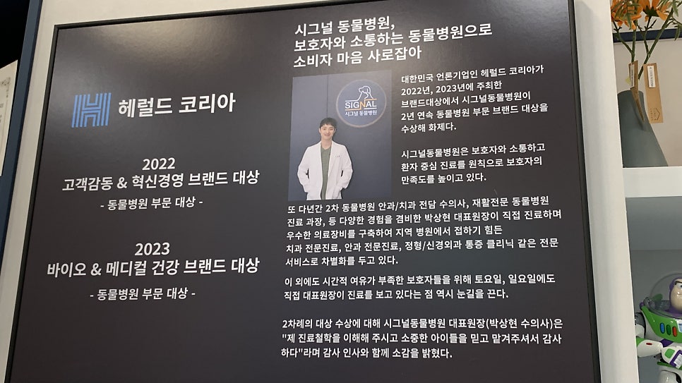 영등포 시그널동물병원, 강아지 구강검진 및 치과 치료 비용 안내 — 사진 2