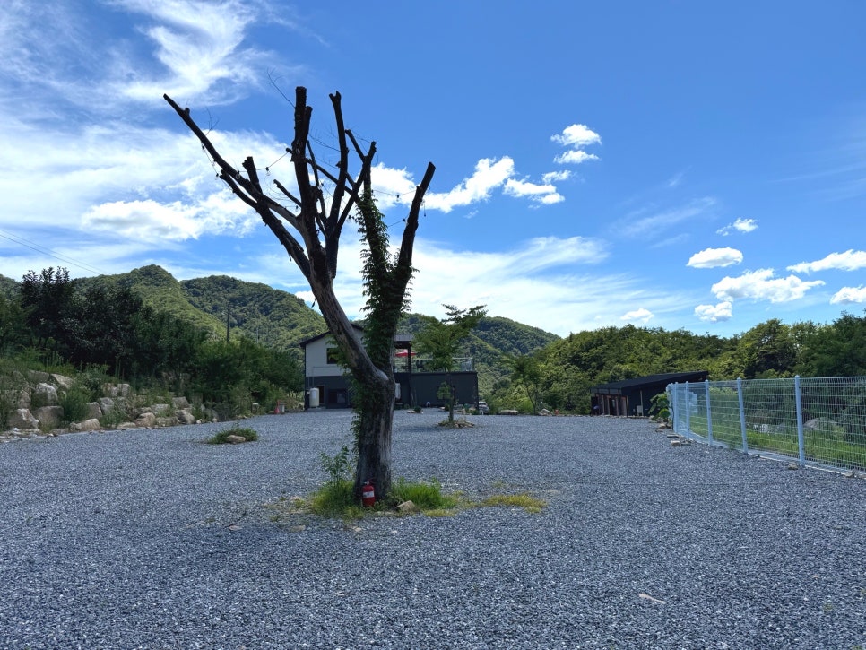 별밤 차박 캠핑장 이미지