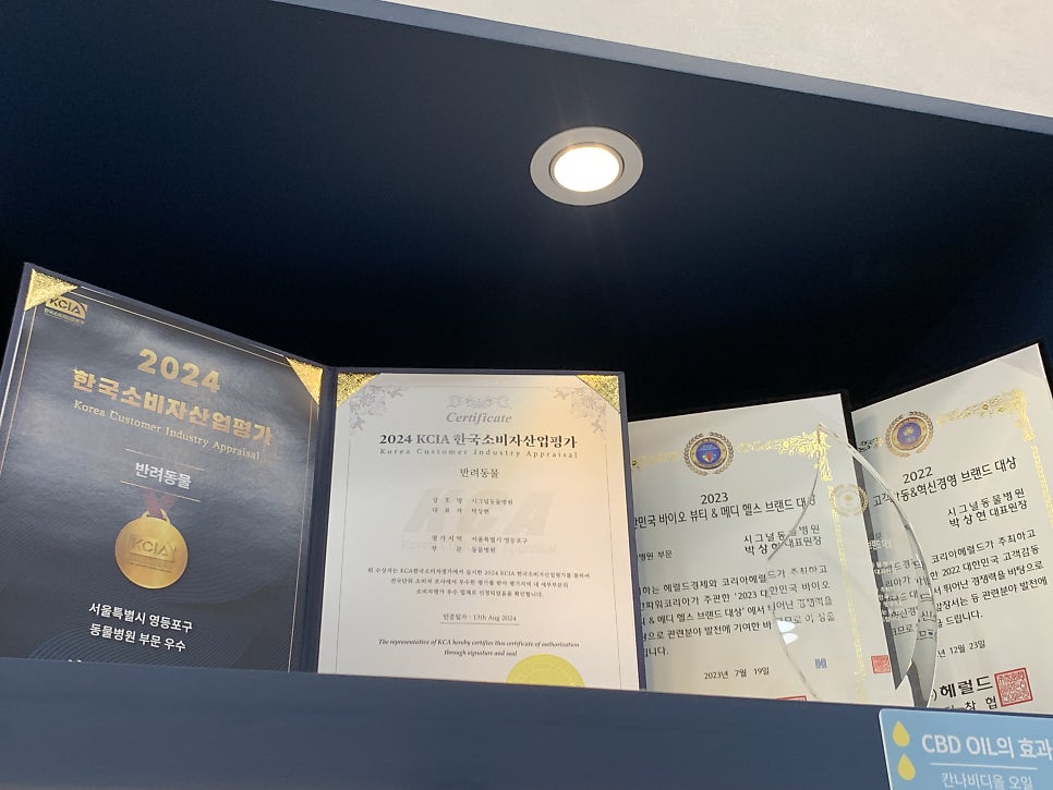 영등포 시그널동물병원, 강아지 구강검진 및 치과 치료 비용 안내 — 사진 3