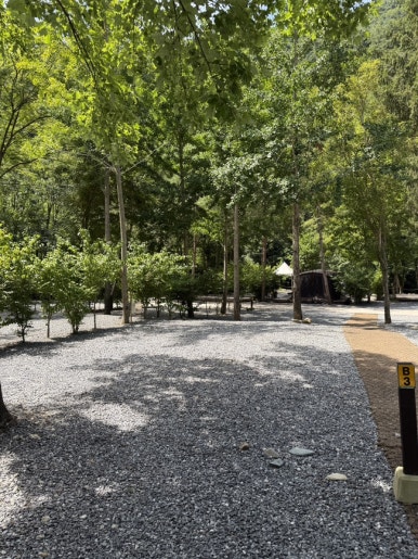 포레스트힐링캠프 이미지