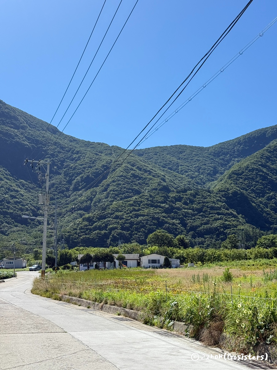 나리상회 이미지