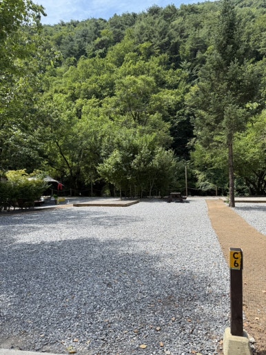 포레스트힐링캠프 이미지