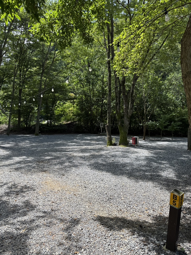 포레스트힐링캠프 이미지