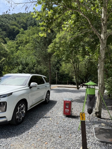 포레스트힐링캠프 이미지