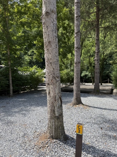 포레스트힐링캠프 이미지