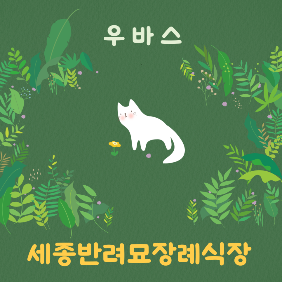세종 고양이 장례식장 우바스, 합법 시설 절차 안내