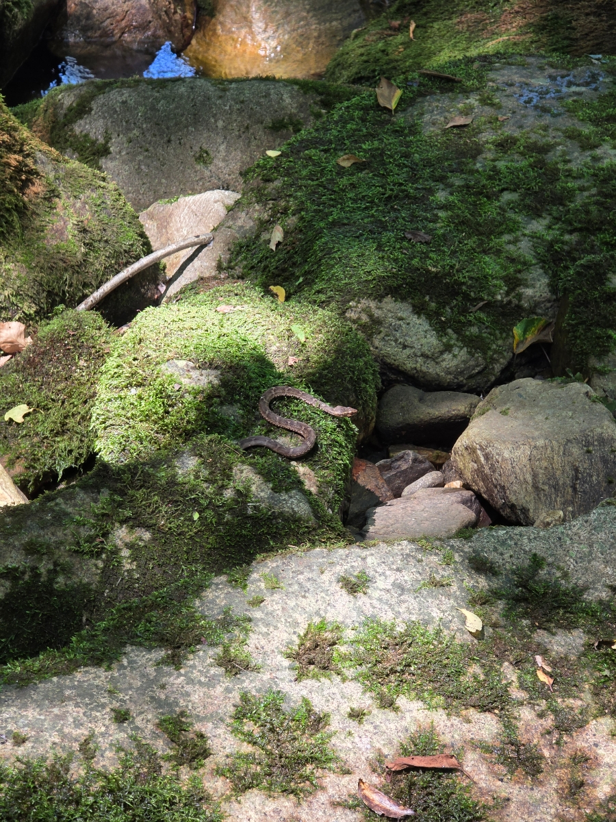 학현식당 이미지