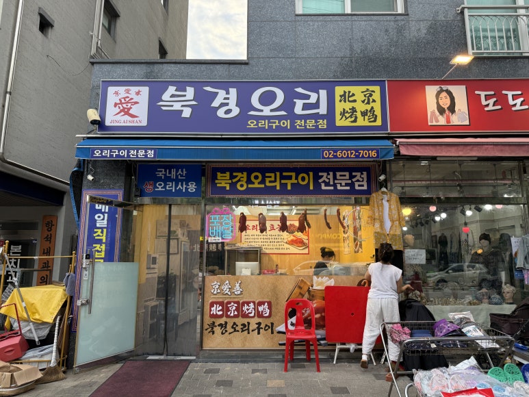 북경오리 사진 8