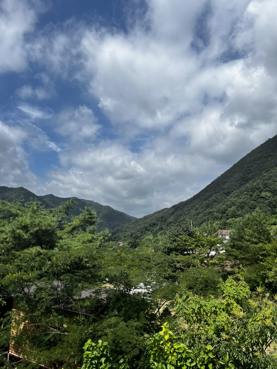 그리너리문 이미지