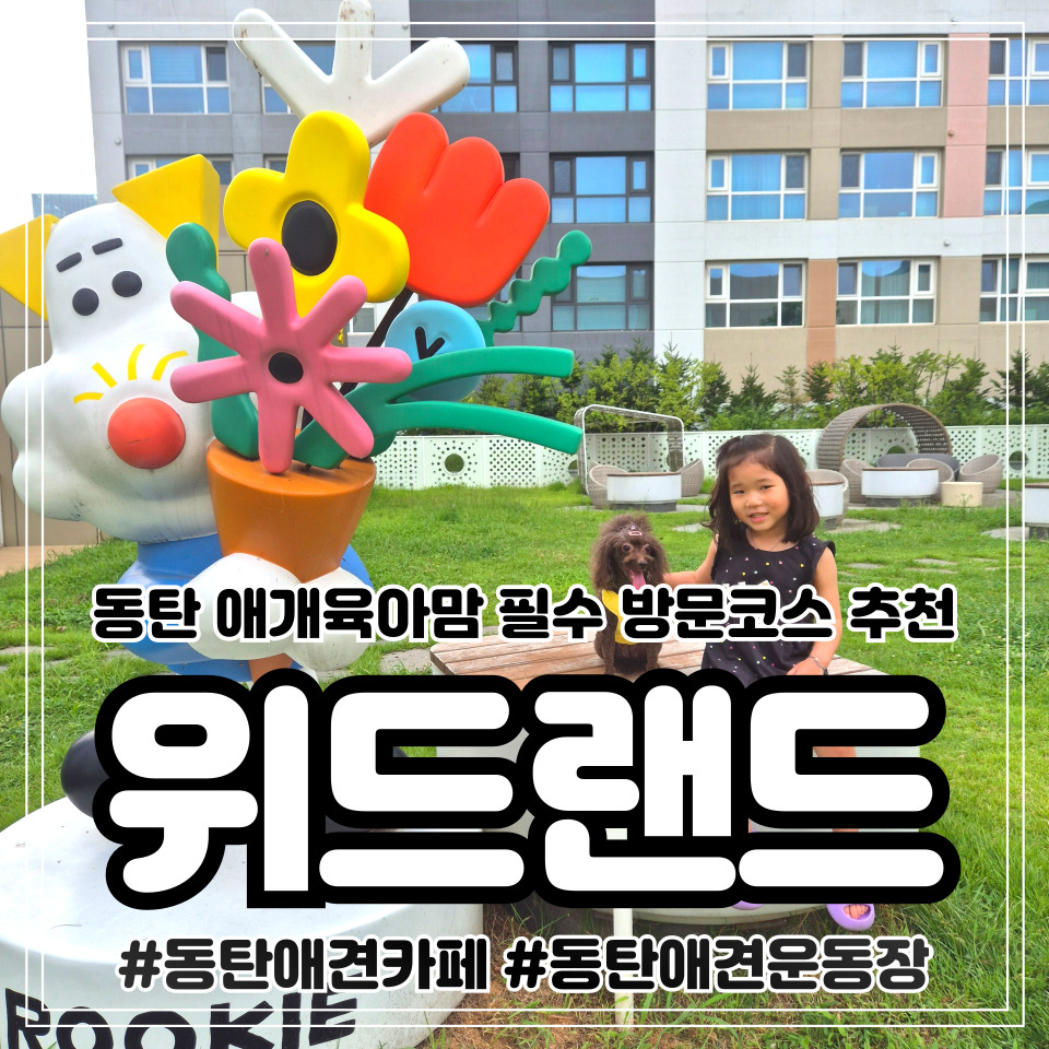 동탄 애견카페 위드랜드: 백화점 내 프리미엄 복합 공간